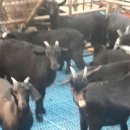 삼문농장 이미지