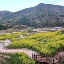 두곡마을 | 남해 두모마을 파라다랑스 다랑이논 위의 사계절 꽃 정원 유채꽃 수국 황화코스모스까