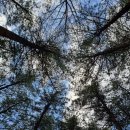 거북 경로당 이미지