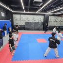 태화태권도 네이버블로그