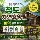 차월철 | 🌲 청도자연휴양림 예약 총정리｜위치·주차·가격·숙박 후기 &amp; 예약 꿀팁