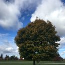 락앤롤게임 이미지