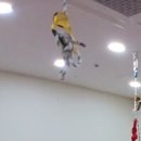 거묵프라자6 이미지