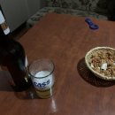 열린호프 티스토리