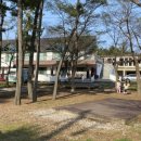 청포대숲속야영장 이미지