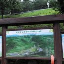 흥해청과
