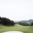 파인구대