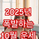2025년 10월 운세 총정리🔥을사년 병술월-10월은 충돌제동 이미지