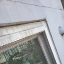 팽성송화로 이미지