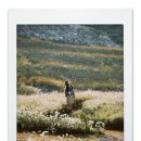 신가네 정읍국밥 본점 이미지