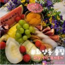 포끼루끼 네이버블로그