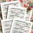 대구금포초등학교 이미지