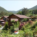 토담민박 이미지