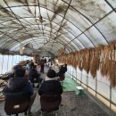 지우농장 이미지