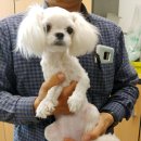 거진중학교 이미지