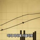 나는 주식투자로 250만불을 벌었다'니콜라스 다비스' 이미지