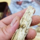 (주)운우 이미지