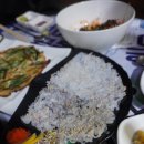 국제애견 이미지