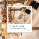 전포1동-10 | 부산 서면 전포 향수공방 수하나 체험 솔직후기