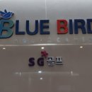 블루버드 골프아카데미 이미지