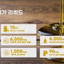 이오피쉬 이미지