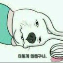 신라축산약품 이미지