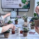 슬기로운 생활 매듭 | 슬기로운 식물생활 2주차 수업 후기