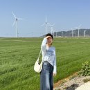 거북발전소 이미지