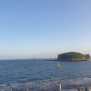 시강건설(주) | 시흥 정왕동 계룡1차,2차 vs 대림아파트 임장후기