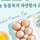 매일계란 이미지