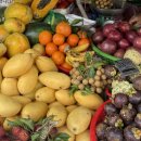 동하나라 | 호이안 여행 2일차 오행산 투어 야시장 랍스터 노상