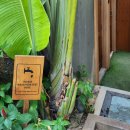 다라 | 파타야 케이프다라 리조트 수영장 솔직 후기