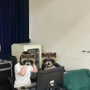 트루웨이브 이미지