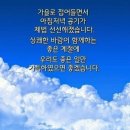 사랑의 노래 이미지