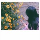 수지충전소 | 🖤• 인천 퍼스널컬러/체형진단 컨설팅 “페이즈(phase)” 방문 후기 •🖤