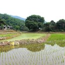 팔공산왕건길 3코스 이미지