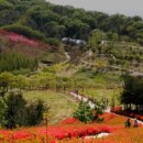 영인산자연휴양림 이미지