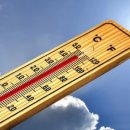 대주메디칼 이미지