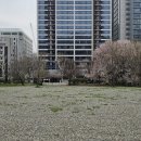 과천타워~새서울쇼핑 이미지