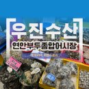 우진수산 | 연안부두 종합어시장 우진수산 굴, 가리비, 석화, 바지락 내돈내산 후기