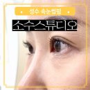 성수 서울숲 속눈썹펌 소수스튜디오 솔직 후기 뚝섬 C컬 속눈썹 브로우