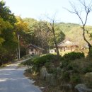 대복사 동종 이미지