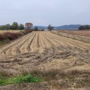 원당리농장 이미지