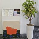 버디네일 이미지