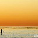 캘리포니아 이미지