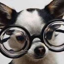 원시로1 이미지