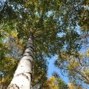 황토한우농장 이미지