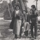 삼포가는길 이미지