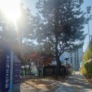 남산풋살경기장(주말) 네이버블로그