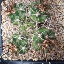 진옥농장 이미지